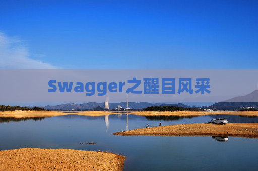Swagger之醒目风采
